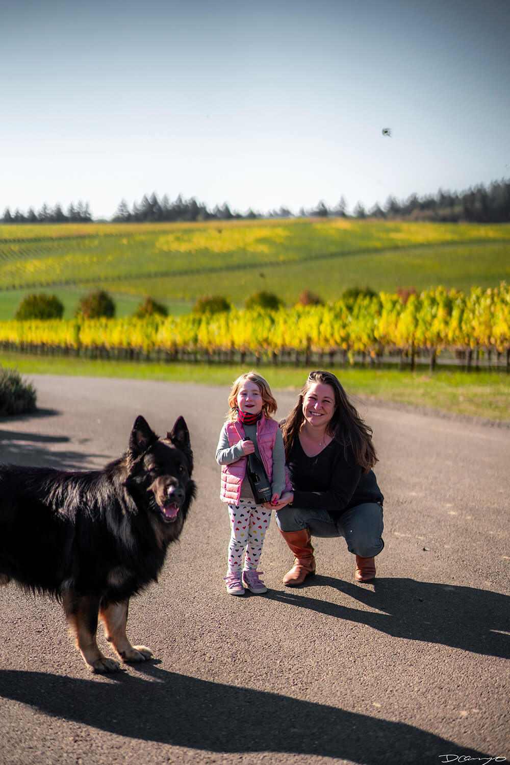Photos with Communique Wines in McMinville, Oregon, in the Fall of 2020.